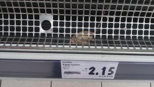 Клиент засне мишка на рафт с хранителни продукти в хипермаркет