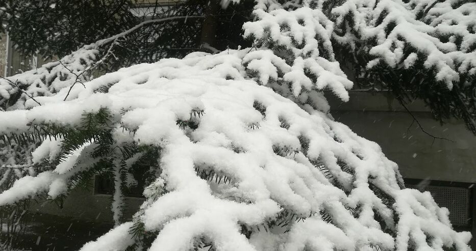 Снеговалежи и наводнения създадоха тежки проблеми в началото на зимата във Франция и Италия