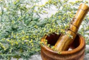 Пелинът чисти дома от завист и лоша енергия