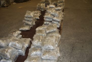 Прокуратурата в Благоевград погна 52-г. мъж за контрабанда на 70 кг. марихуана през ГКПП Кулата