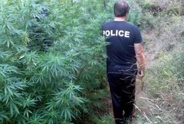 Акция антидрога в Петрич и Сандански! полицаи 