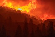 Пожар горя в горски масив източно от Хисаря