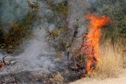 От три страни е ограничен пожарът между Фролош и Ваксево