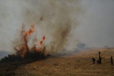 Българка участвала в подпалването на Родос