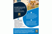 Община Благоевград стартира кампания за преброяване на кучета