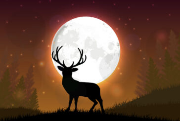 Еленовата луна влияе силно на 4 зодии