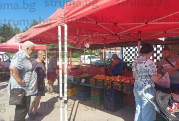 Търговията на пазара в Бобов дол е слаба, пенсионери коментират: Няма кой да купува, младите заминаха за чужбина и София, искат достойни заплати
