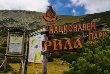 Охранител в НП „Рила“ разкри в съда батака в българското образование с различни форми на обучение, непълен регистър на МОН, документи в насипно състояние...