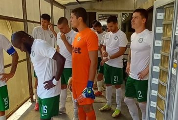 Н. Шенсой предлага латински подход за проблемите на „Вихрен“