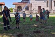 Община Радомир  с лятна акодемия „Ваканция на село“
