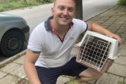Кметът на Падеш спаси ранен ястреб