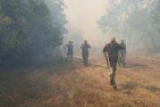 25 военослужещи от Трето бригадно командване - Благоевград гасят пожара на гръцко-българската граница