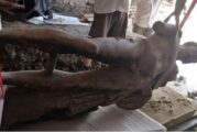 Показа се лицето на бог Хермес, открит в Хераклея Синтика