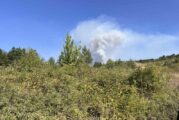Пожар гори между Сенокос и Стара Кресна, огънят навлиза в гората