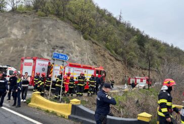 Микробус падна в Дунав в Румъния, има жертва, открит е и български паспорт