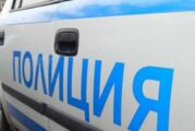 Разследват смъртта на две кучета в Банско