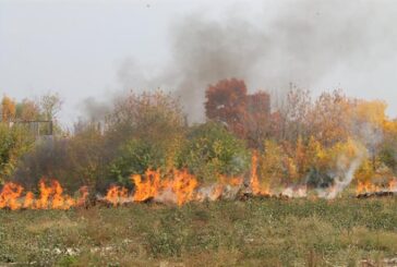 Дупнишките огнеборци гасиха пожар в с. Яхиново
