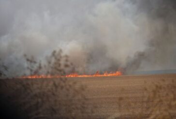 Пожарът, който пламна край санданското село Горно Спанчево, е обхванал гората над населеното място
