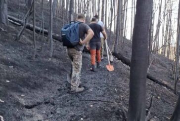 След пожара в Пирин! Три ловни полета се превърнаха в пепел и пустош
