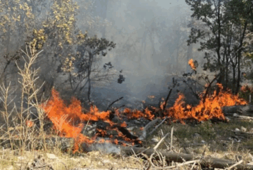 Голям пожар лумна в района на село Сенокос