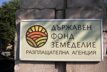 Фонд 