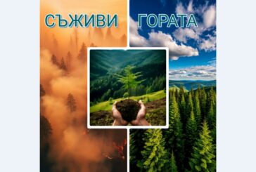 „Съживи гората”  - съвместна кампания на Югозападното държавно предприятие и военновъздушните сили
