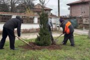 Радомирци украсяват заедно 20 Коледни елхи