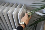 Красив дом! Как се отразява отоплението на саксийните цветя през зимата