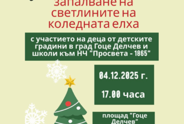 Коледната елха в Гоце Делчев грейва празнично на 4 декември