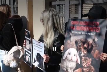 Протест в защита на животните беляза делото в СГС срещу насилниците от Перник Г. Сашова и Кр. Георгиев