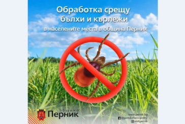 Повторно пръскат в Перник против кърлежи и бълхи