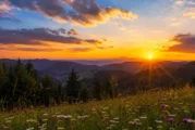 Днес посрещаме астрономическото лято