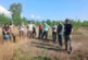 Специалисти обсъдиха модерни лесовъдски практики и възстановяване на горите в Струмяни