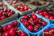 ЗАСИЛЕНО ПОЛИЦЕЙСКО ПРИСЪСТВИЕ! Стартира специализирана операция за охрана на черешовата кампания в Кюстендилско