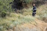 Доброволци и пожарникари ликвидираха пожар край село Плоски