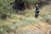 Доброволци и пожарникари ликвидираха пожар край село Плоски