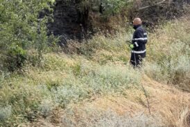 Доброволци и пожарникари ликвидираха пожар край село Плоски