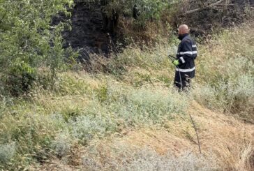 Доброволци и пожарникари ликвидираха пожар край село Плоски