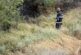Доброволци и пожарникари ликвидираха пожар край село Плоски