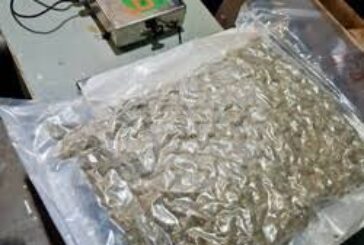 Шестима души са задържани за контрабанда на 400 кг марихуана на стойност около 4,1 млн. евро