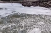 Бяла пяна се носи по река Струма