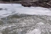 Бяла пяна се носи по река Струма