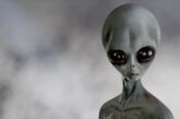Как изглежда извънземният живот? Тези земни създания крият отговора