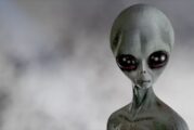 Как изглежда извънземният живот? Тези земни създания крият отговора