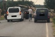 Дърво се стовари върху кола в Пернишко