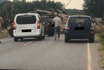 Дърво се стовари върху кола в Пернишко