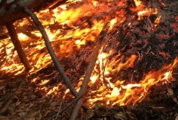 Гасиха пожари в Разлог, Хаджидимово, Катунци, Кърналово