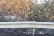 Два пожара бушуват край Марикостиново, силният вятър затруднява гасенето