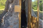Хралупата на 300-годишен дъб стана параклис