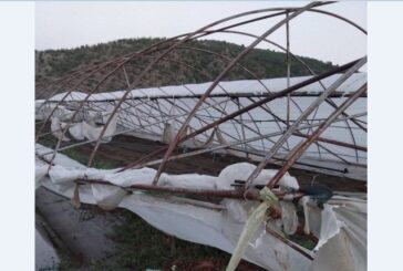 Ураганният вятър унищожи десетки оранжерии по поречието на р. Струма в землището на Сандански, Кресна и Струмяни, земеделските стопани изпаднаха в паника, щетите са за хиляди евро